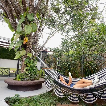 Montefresco Boutique Hostel Монте-Верде Экстерьер фото